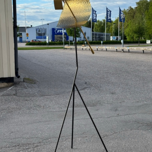 217 - Bild 2