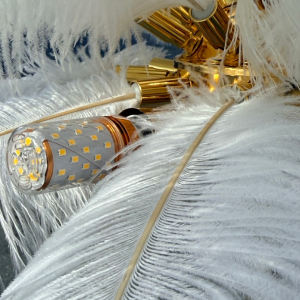 201 - Bild 5